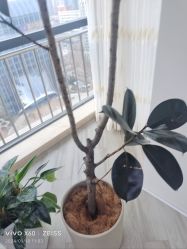 -HEYAN荷妍专业脱毛连锁机构