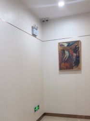 -AIST爱思特医疗美容医院