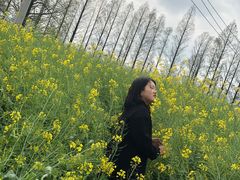 -大塘金香草谷