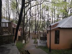 -象山森林公园