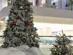 -东莞松山湖万象汇