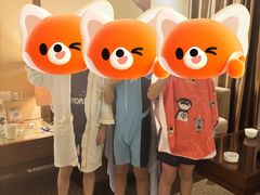 -丰泰花园酒店热矿泉