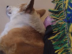 -平行世界·猫咖(首经贸店)