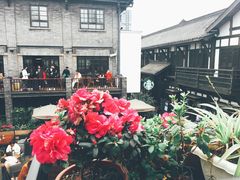 -星巴克臻选(成都宽窄巷子店)