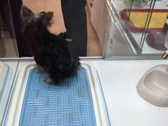 -乐宠宠物店(世纪金源店)