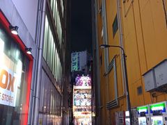 -秋叶原电器街