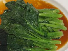 -正兴蜀园(科技园区店)