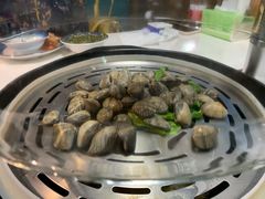 花蛤-蔚海之都·象山蒸汽海鲜(仙霞路店)