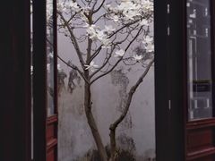 -耦园