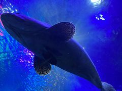 -沈阳海洋探索中心