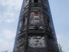 -上海佘山国家森林公园天马山园