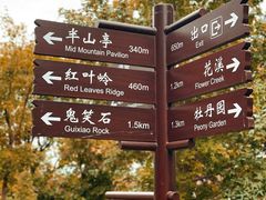 -北京西山国家森林公园