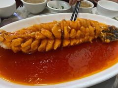 -大碗居老北京炸酱面(蛇口店)