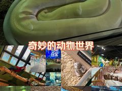 -海合安武汉极地海洋公园