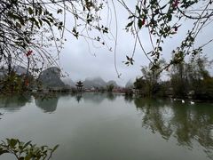 -靖西鹅泉风景区