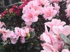 -大妙火锅·非物质文化遗产(东湖公园店)