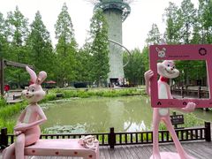 -黄海国家森林公园