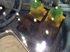 -BLACKSWAN黑天鹅(环球店)