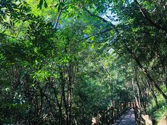 -广州白江湖森林公园