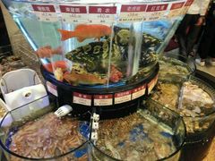 -陶陶居海鲜酒家(新马路店)