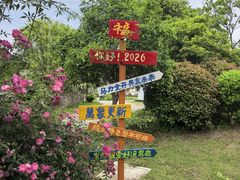 -鹅湖玫瑰文化园