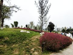 -汉长安城未央宫国家考古遗址公园