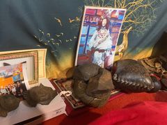 -吉祥圣雪藏餐