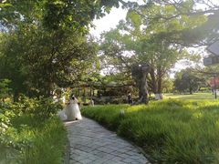 -江心屿景区
