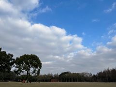 -上海滨江森林公园