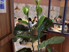 -大树餐厅(益田假日店)