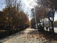 -托克逊老四号餐厅