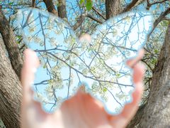 -盘龙城国家考古遗址公园