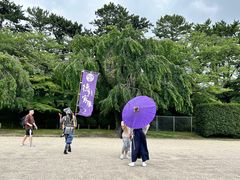 -名古屋城