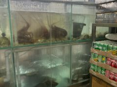 -师傅仔美食(东华老店)