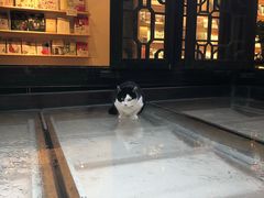 -猫的天空之城概念书店(杭州南宋御街店)