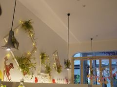 -春树下·树屋花房西餐厅(罍街AS1980店)