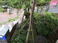 -楠柏弯休闲山庄(梨花溪店)