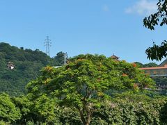 -顺峰山公园