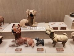 -中国农业博物馆