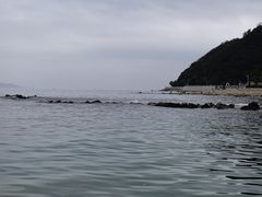 -杨梅坑