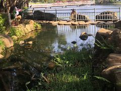 -深圳龙潭公园