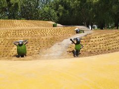 -北戴河集发农业梦想王国