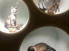 -陕西自然博物馆