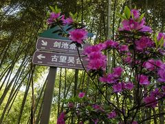 -莫干山风景区