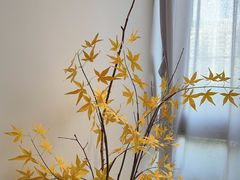 -小茶闲舍·观景商务茶馆(广州塔店)