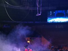 -俄罗斯国家大马戏团