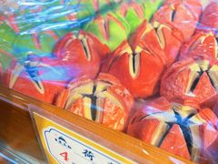 -皇承御点·八旗饽饽铺(避暑山庄店)