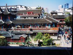 -水西门南京桂花盐水鸭