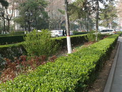 -陕西师范大学(雁塔校区)