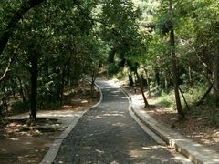 -灵岩山风景区